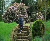 Near to Shrewsbury is a garden that is opening for the National Garden Scheme very soon.Longden Manor Farm.It has lovely specimen trees, some friendly Heffers to say hello too, and around 30 different topiary shapes to explore. Come take a look around.