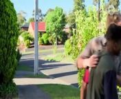 Neighbours 9030 24th April 2024 from get ready to fight mp4 download