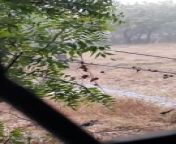 Snowfall in Aurangabad Bihar from bihar school rape video com hidden camera desi boudii mms land videos couple man t