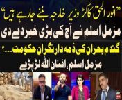 Muzzammil Aslam gives inside news regarding Anwar ul Haq Kakar from inside পিকচারানি ল