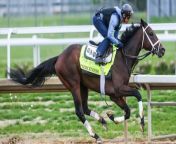 Kentucky Derby: How Field Size Influences Race Dynamics from 48 size