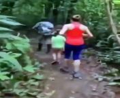 Family walks through jungle and gets a surprise from japanese bullet train video