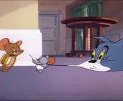 Tom & Jerry | Tom and Jerry | Cartoon For Kids | Cartoons | from toonami cartoons porn