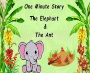 One MinutestoryThe Elephant &amp;The Ant 3.37