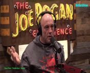 Episode 2143 Tucker Carlson - The Joe Rogan Experience Video&#60;br/&#62;Please follow the channel to see more interesting videos!&#60;br/&#62;If you like to Watch Videos like This Follow Me You Can Support Me By Sending cash In Via Paypal&#62;&#62; https://paypal.me/countrylife821 &#60;br/&#62;