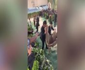 Tyla gets carried up Met Gala steps after struggling to walk in tight sand dress from pakistan pashto lokl video sand