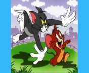 Tom Vs Little Jerry &#124; Tom &amp; Jerry Cartoon &#124; Tom and Jerry Show &#124; Funny Cartoons For Kids &#124;&#60;br/&#62;&#60;br/&#62;&#92;