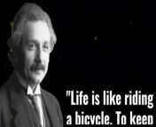 Albert Einstein Quotes you should know before you Get Old!!!&#60;br/&#62;&#60;br/&#62;We give new life to famous words that were said through the centuries. Let our channel be an inexhaustible source of wisdom, to which you can come back at any given moment. Subscribe!&#60;br/&#62;&#60;br/&#62;We hope you enjoyed this Wise Quotes by Ancient Chinese Philosophers, a lot of work has been put into it.&#60;br/&#62;&#60;br/&#62;sound copyright :from youtube library
