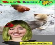 https://www.youtube.com/@MsBeast-JoyWorld-/videos&#60;br/&#62;&#60;br/&#62; S--U--B--S--C--R--I--B--Etojoin our YouTube PARTY and let&#39;s DANCE together!&#60;br/&#62;Ha ha ha, hee hee hee, woo hoo hoo!Clap clap clap, cha cha cha, ho ho hoo!&#60;br/&#62; Boom boom boom, shake shake shake, cha cha cha!Pop, bang, bang, boom, boom!&#60;br/&#62;Tico, Tico, Tico, Yay, Yay, Yay, La La La, do re mi La, Clik Clik! COME ON! SUB!&#60;br/&#62;&#60;br/&#62;&#60;br/&#62;------Your Inquiries--------------------------------------&#60;br/&#62;MsBeast, @MsBeast, @MsBeast-JoyWorld,&#60;br/&#62;MrsBeast, @MrsBeast, @MrsBeast-JoyWorld, Comedy Clips, laugh, laughter, Best Funny Videos, Memes &amp; Jokes, Crazy Laughter Moments, Parody Comedy, Laugh Factory, Sitcom Moments, Quirky Laughs, Comedy Sketches, MrBeast, Funny Animations, Funny Compilation, Funny Animals, Reaction Video, Comedy Dance, Comedy Game, Comedy TV Show, Comedy Circus, SSSniperWolf, #meme, #funnyvideo, #dance, KallMeKris, #funnymemes, #tiktok,#vines, #prank, #explorepage, #trending, Funny Jokes, funniest fortnite, Dance, Comedy Clips, Funny Moments, Hilarious Skits, Comic Vines, Jokes Galore,Laughter Riot,Comedy Moments, party animals funny moments, funny farm animals, animals funny video&#60;br/&#62;Standup Gags, Pranks Gone, Comical Acts, Humor Reel, LOL Moments, Epic Fails, Sketch Comedy, Satire Clips, Gag Show, Quick Laughs, Comedic Bits, Whacky Antics, Best Jokes, Jolly Skits, Crazy Laughter, Side-splitting, Chuckle Time, Hysterical Fun, Silly Sitcoms, Funny Bits,&#60;br/&#62;Light-hearted, Amusing Acts, Parody Clips, Quick Chuckles, Comedy Gold, Jokes &amp; Gags, Prank Frenzy, Funny Jokes Compilation, Satirical Fun, Slapstick Fun, Comedic Gems, Standup Fun, Giggles Galore, Quirky Laughs, Witty Humor, Bloopers Reel, Sketch Humor, Laugh Factory,&#60;br/&#62;Try not to laugh, Prankster&#39;s Fun, Hilarious Duo, Jokesters Club, Comedy Vibes, Crazy Capers, Gag Reel, Whimsical Fun, Silly Skits, Funny Frenzy, Humorous Bits, Playful Acts, Satire Central, Witty Comedy, Prank Mania, Standup Quips, Comedy Haven, Smiles &amp; Giggles, Comedy Clips , Funny Bonanza, Outtakes Fun, Hilarious Shots, Joke Parade, Laugh Lines, Amusing Antics, Parody Gems, #shorts, #funny, #comedy, Quick Quirks, Comedy Vibes 2, Comedy Clips Fun, Hilarious Skit Show, Funny Moments Laughs, Quick Comedy Bits, Standup Humor Acts, Jokes &amp; Gags Galore, Crazy Comedy Vines, Hot Jokes, Adult Jokes, LOL Moments Chuckles, Best Funny Videos, Satirical Gag Show, Whacky Comedy Acts, Silly Sketch Humor, Side-splitting Laughs, Epic Fails Comedy, Pranks &amp; Funnies, Humor Reel Clips, Quick Laughter Dose, Memes &amp; Jokes, Funny Bloopers Reel, Playful Skit Show, Comedy Central Fun, Comedy Duo Acts, Quirky Laughter Moments, Laughter Riot Fun, Hysterical Comedy Show, Parody Comedy Skits, Giggles &amp; Chuckles, Laugh Craze, Standup Comedy Gold, Witty Comedy Acts, Funny Video Gems, Crazy Capers Fun, Jolly Comedy Vibes, Light-hearted Laughs, Comedy Frenzy Clips, Chuckle Time Moments, Prankster&#39;s Laughter, Funny Moments Galore, Gag Reel Fun, Humorous Comedy Bits, Laugh Factory Show, Sketch Com