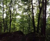 Beautiful Forest. from new video comery longhair beautiful women show