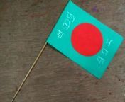 How to make National flag in Bangladesh from bangladesh bikrampur