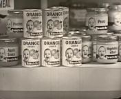 1950s Beechnut baby food orange juice commercial