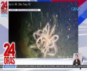 Narito ang iba pang balitang abroad na tinutukan ng 24 Oras Weekend.&#60;br/&#62;&#60;br/&#62;&#60;br/&#62;24 Oras Weekend is GMA Network’s flagship newscast, anchored by Ivan Mayrina and Pia Arcangel. It airs on GMA-7, Saturdays and Sundays at 5:30 PM (PHL Time). For more videos from 24 Oras Weekend, visit http://www.gmanews.tv/24orasweekend.&#60;br/&#62;&#60;br/&#62;#GMAIntegratedNews #KapusoStream&#60;br/&#62;&#60;br/&#62;Breaking news and stories from the Philippines and abroad:&#60;br/&#62;GMA Integrated News Portal: http://www.gmanews.tv&#60;br/&#62;Facebook: http://www.facebook.com/gmanews&#60;br/&#62;TikTok: https://www.tiktok.com/@gmanews&#60;br/&#62;Twitter: http://www.twitter.com/gmanews&#60;br/&#62;Instagram: http://www.instagram.com/gmanews&#60;br/&#62;&#60;br/&#62;GMA Network Kapuso programs on GMA Pinoy TV: https://gmapinoytv.com/subscribe