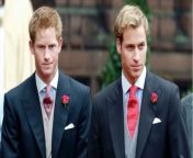 Fact checking: Is Prince William really encouraging Harry to move back to the UK? from astex uk