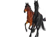 Lil Nas X - Old Town Road (feat. Billy Ray Cyrus) [Remix] &#60;br/&#62;