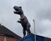 Ben Maddocks has put the ten-foot T-Rex sculpture on top of a shipping container which he uses as a garage