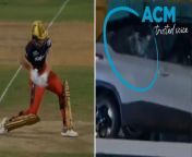 &#39;I&#39;m not sure I have insurance,&#39; the Aussie batter said after smashing the sponsor car&#39;s back window during the Royal Challenges Bangalore defeat of UP Warriorz in the Women&#39;s Premier League Twenty20.