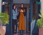 Pagal Khana Episode 22 Saba Qamar Sami Khan Presented By Nestle Milkpak & Ensure Green TV from page hello 15 video