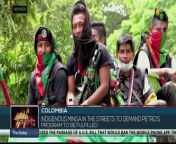 In Colombia, the indigenous Minga and rural movements mobilize in support of Gustavo Petro&#39;s government&#39;s proposals for peace and social justice. teleSUR&#60;br/&#62;&#60;br/&#62;Visit our website: https://www.telesurenglish.net/ Watch our videos here: https://videos.telesurenglish.net/en&#60;br/&#62;