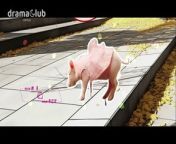 My Piggy Lover EP03 from inquisitormaster piggy daycare