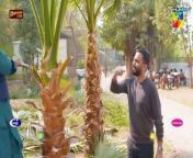 Ishq Murshid - Episode 24 Promo - Tomorrow At 08 Pm On HUM TV [ Bilal Abbas & Durefishan Saleem ] from ishq par zor nhi full episode 45
