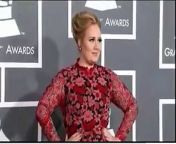 55th Grammy: Adele in Red Carpet at Grammys 2013