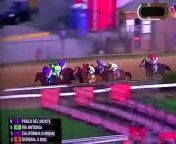 Chrome Wins VIDEO Preakness 2014 Horse