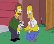 Flanders introduces Homer to his new puppy