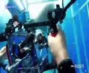 Great White Shark Escapes After Charging Into Cage &#124; The footage from August 2016 was captured by diver Craig Capehart. &#60;br/&#62;