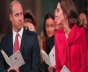 Prince William and Kate Middleton: The couple are under 'unmanageable pressure', according to expert from rat kate nirghum