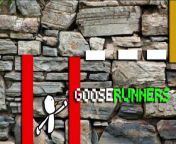 Try out GooseRunners on your Quest! from code quest