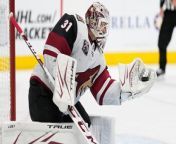 Canucks vs Coyotes: Predictions on Vancouver's potential win? from dr feingold az