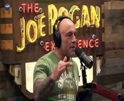 Joe Rogan Experience MMA Show #154 with Matt Serra, Din Thomas and John Rallo#1455