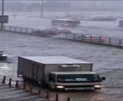 Rains batter Sharjah, roads flooded from paradise road full movie dvdrip english