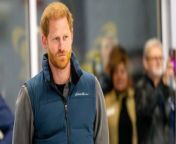 Prince Harry may be replaced at Invictus games by Mike Tindall as event is ‘too royal’ from joplin hot video gorje too