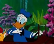 Disney Playhouse Donald Duck Don's Fountain of Youth from playhouse disney creditos obra