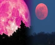 Full Pink Moon 2024: मंगलवार, 23 अप्रैल 2024 को चैत्र पूर्णिमा और हनुमान जयंती पर आसमान में &#39;पिंक मून&#39; (Super Blue Moon) का अद्भुत चंद्रमा नजर आएगा. जो अन्य दिनों की अपेक्षा अधिक बड़ा और चमकदार होगा. &#60;br/&#62; &#60;br/&#62;Full Pink Moon 2024: On Tuesday, 23 April 2024, on Chaitra Purnima and Hanuman Jayanti, a wonderful &#39;Pink Moon&#39; (Super Blue Moon) will be visible in the sky. Which will be bigger and brighter than other days. &#60;br/&#62; &#60;br/&#62;#pinkmoon2024 #fullpinkmoon2024