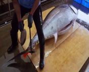 World's Sharpest Tuna Knife！Amazing Giant bluefin tuna cutting Master from cudeman 298 knife