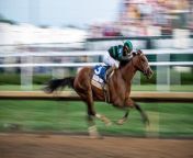 150th Kentucky Derby: By the Betting Business Numbers from motorhome demolition derby