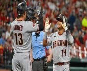 Bee Swarm in Arizona delays the game between the Dodgers & DBacks from codes in bee swarm simulator 2019 list