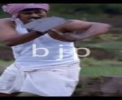 chor bandhan vs bjp #shorts from hindu movis
