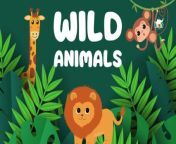 Introduce Your Kids to Animal Names ! From Wild Animals to Farm Animals and Sea Creatures, Expand Their Vocabulary with Fun Learning. Let&#39;s Explore Together!&#60;br/&#62;&#60;br/&#62;#AnimalsForKids #KidsVocabulary #WildAnimals #FarmAnimals #SeaAnimals #LearningIsFun #EducationForKids #cocomelon #nurseryrhymes #animals #brightsparkstation #trending #kidslearning