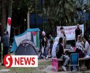 About 300 students at Barcelona University set up a protest camp on Monday (May 6) afternoon condemning Israel&#39;s attack on Gaza. &#60;br/&#62;&#60;br/&#62;WATCH MORE: https://thestartv.com/c/news&#60;br/&#62;SUBSCRIBE: https://cutt.ly/TheStar&#60;br/&#62;LIKE: https://fb.com/TheStarOnline