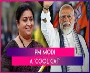 BJP leader and Union Minister Smriti Irani on Tuesday, May 7, called Prime Minister Narendra Modi a &#92;