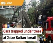 The uprooted tree brought down a covered walkway in the process as it fell over, before crashing down on several vehicles.&#60;br/&#62;&#60;br/&#62;Read More:https://www.freemalaysiatoday.com/category/nation/2024/05/07/cars-trapped-as-tree-falls-at-jalan-sultan-ismail/&#60;br/&#62;&#60;br/&#62;Laporan Lanjut: https://www.freemalaysiatoday.com/category/bahasa/tempatan/2024/05/07/pokok-besar-tumbang-beberapa-kereta-terperangkap-di-jalan-sultan-ismail/&#60;br/&#62;&#60;br/&#62;Free Malaysia Today is an independent, bi-lingual news portal with a focus on Malaysian current affairs.&#60;br/&#62;&#60;br/&#62;Subscribe to our channel - http://bit.ly/2Qo08ry&#60;br/&#62;------------------------------------------------------------------------------------------------------------------------------------------------------&#60;br/&#62;Check us out at https://www.freemalaysiatoday.com&#60;br/&#62;Follow FMT on Facebook: https://bit.ly/49JJoo5&#60;br/&#62;Follow FMT on Dailymotion: https://bit.ly/2WGITHM&#60;br/&#62;Follow FMT on X: https://bit.ly/48zARSW &#60;br/&#62;Follow FMT on Instagram: https://bit.ly/48Cq76h&#60;br/&#62;Follow FMT on TikTok : https://bit.ly/3uKuQFp&#60;br/&#62;Follow FMT Berita on TikTok: https://bit.ly/48vpnQG &#60;br/&#62;Follow FMT Telegram - https://bit.ly/42VyzMX&#60;br/&#62;Follow FMT LinkedIn - https://bit.ly/42YytEb&#60;br/&#62;Follow FMT Lifestyle on Instagram: https://bit.ly/42WrsUj&#60;br/&#62;Follow FMT on WhatsApp: https://bit.ly/49GMbxW &#60;br/&#62;------------------------------------------------------------------------------------------------------------------------------------------------------&#60;br/&#62;Download FMT News App:&#60;br/&#62;Google Play – http://bit.ly/2YSuV46&#60;br/&#62;App Store – https://apple.co/2HNH7gZ&#60;br/&#62;Huawei AppGallery - https://bit.ly/2D2OpNP&#60;br/&#62;&#60;br/&#62;#FMTNews #TreeFall #JalanSultanIsmail