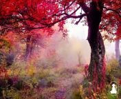 30 MinutesRelaxing Meditation Music • Inspiring Music, Sleepand calm anxiety (Red leaves) @432Hz from 10 minutes of f1 2020 testing