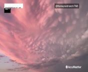 The sunset painted mammatus clouds pink in Fayetteville, Arkansas, on May 9.