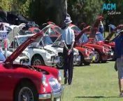 WATCH: More than 200 vintage MG cars revved up to Tamworth on Saturday, March 30, for the 100th annual MG National Meeting. Video by Gareth Gardner